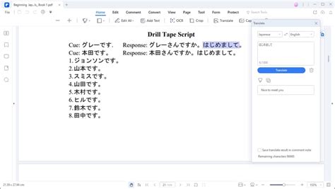 translate japanese to english pdf